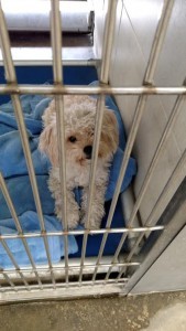 eab46211-0ae7-4995-89f1-cb82ad4212c1