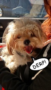 d740f386-5b22-4bff-836e-f4a3f8697a94