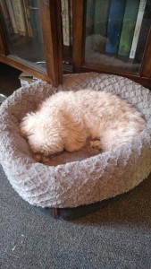 a0491024-4281-48cf-a789-a5a90f398ab0