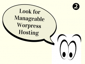 Custom Web Development, WordPress development, web design and development, website development