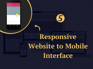 Custom Web Development, WordPress development, web design and development, website development