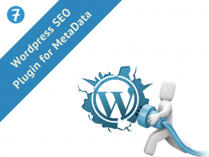 Custom Web Development, WordPress development, web design and development, website development