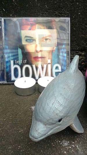 Photo credit: Clare Oxenham