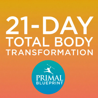 21dayprogram_1000x1000 for blog