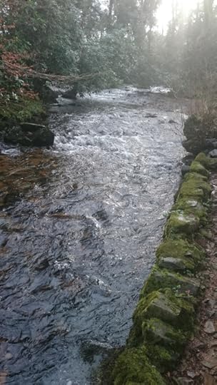 River Taw at Sticklepath - high and fast!