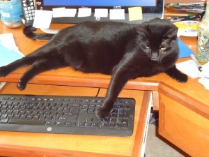 My writing assistant, making a few edits
