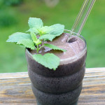 Lemon Balm Mint Blueberry Smoothie