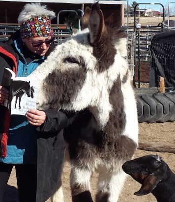 2016-01-16 12.10.39 (3)