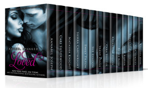 Final 3D_BoundSpankedLoved_large