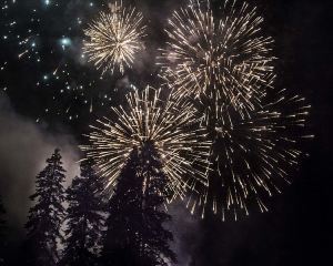 Happy_New_Year_2016_(23803545640)