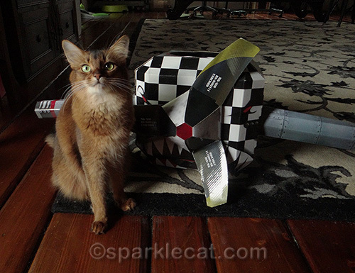 Somali cat, cat airplane playhouse