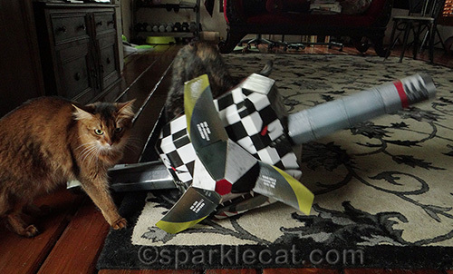 Somali cat is upset with tortoiseshell cat in cat airplane playhouse