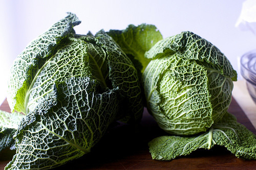 a very large amount of cabbage