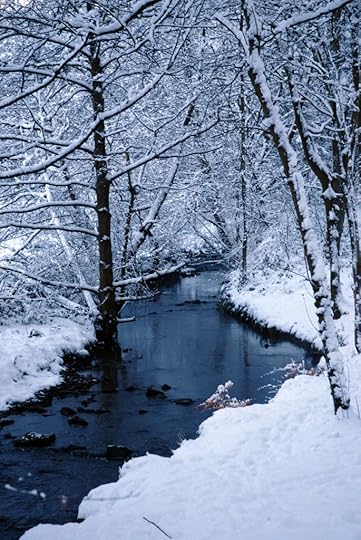 Frost