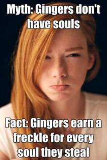 ginger-meme