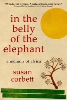 belly-of-elephant-COVER