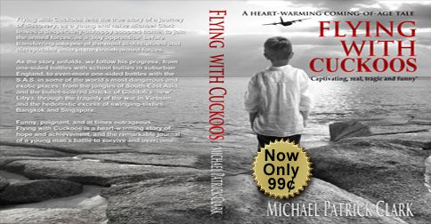 wide flying new price