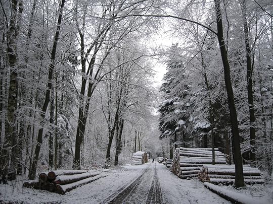 Snowy path