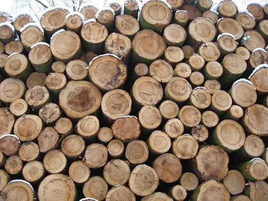 Timber