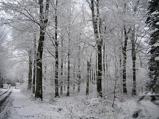 Forked path