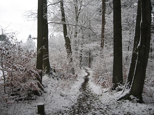 Snowy path