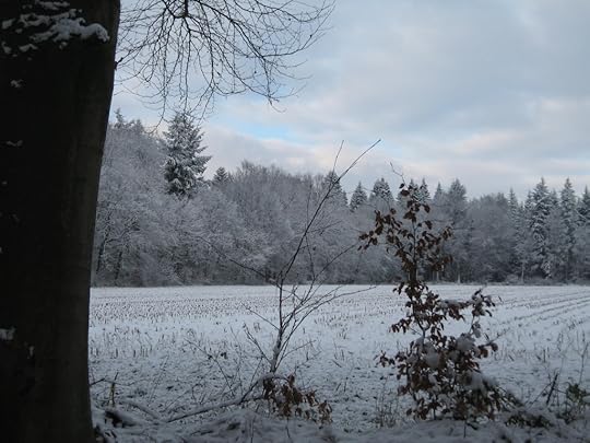 Snowy field