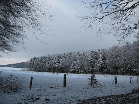Snowy field