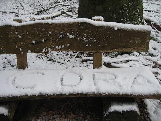 Snowy bench