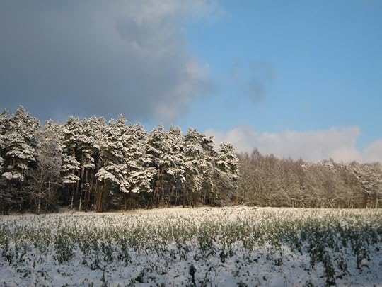 Snowy field