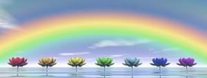 488cabb1-52c6-484c-8b62-bffae8b3be8f