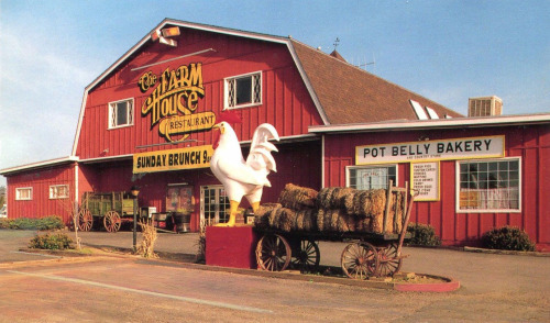 farmtotablefarmhouserestaurantBanningCA