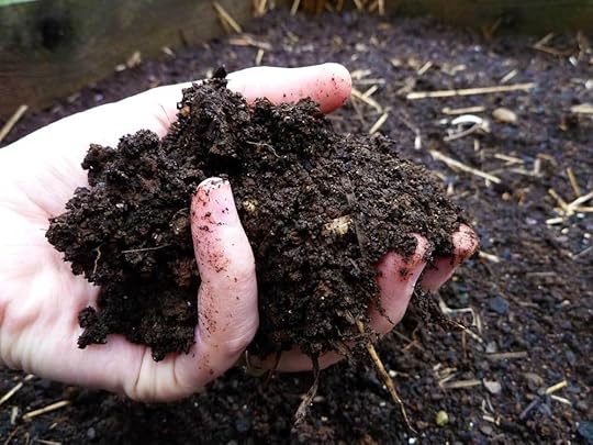 soil-loam-humus