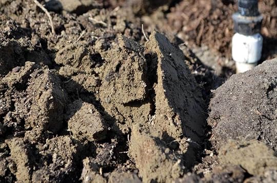 clay-hardpan