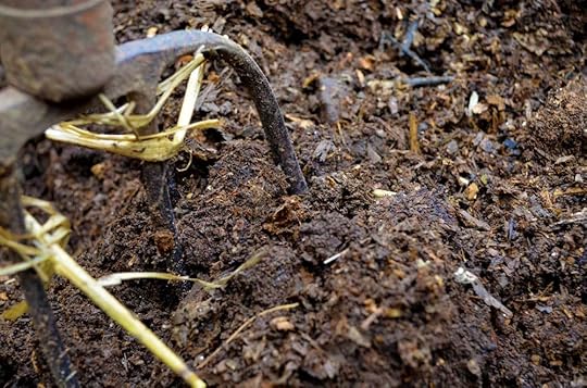 finished-compost