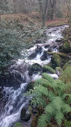 Cold and very wintry just now. Central heating is needed for freezing authors!