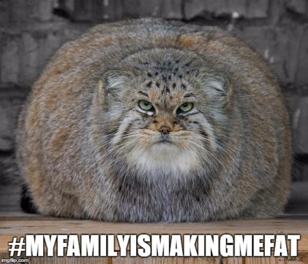 Hashtag_Myfamilyismakingmefat