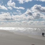 The shore of the Baltic Sea off the Curonian Spit