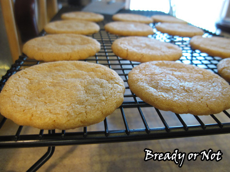 Biscoff Shortbread