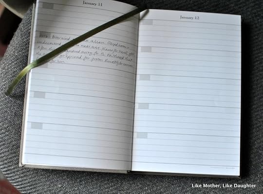 Reasonably Organized Home