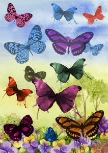 the wings of imagination