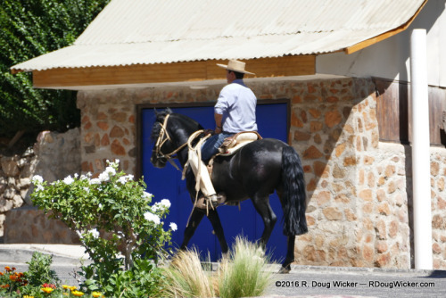 Rush Hour in Monte Grande