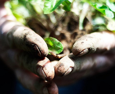 Photo: Environmental rights are human rights