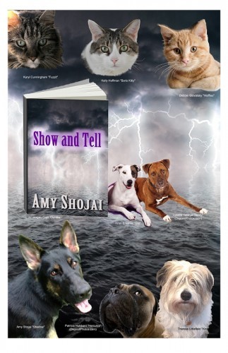 show-and-tell