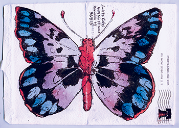 butterfly