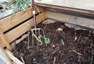 Compost as an amendment conditions the soil, while building fertility.