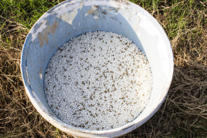 Bucket of fertilizer