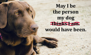 May I be the person