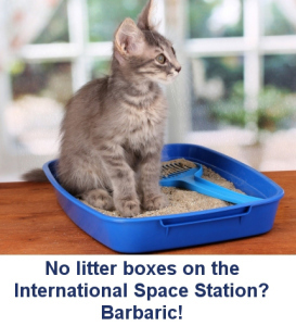 Cat-Litter