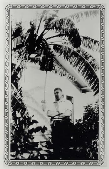 4PalmTree