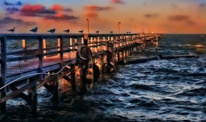 Photo Prompt #18